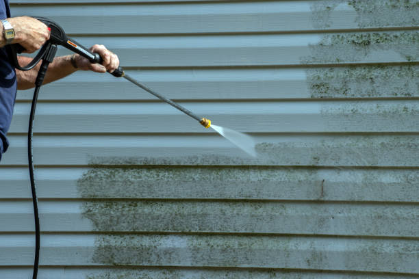 Best Driveway Pressure Washing  in Lorenz Park, NY