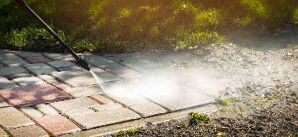 Best Dumpster Area Cleaning  in Lorenz Park, NY