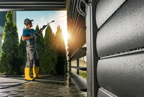 Best Gutter Cleaning  in Lorenz Park, NY